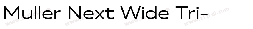 Muller Next Wide Tri字体转换